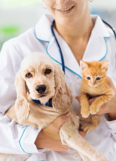 Your Partner for Healthy and Happy Pets