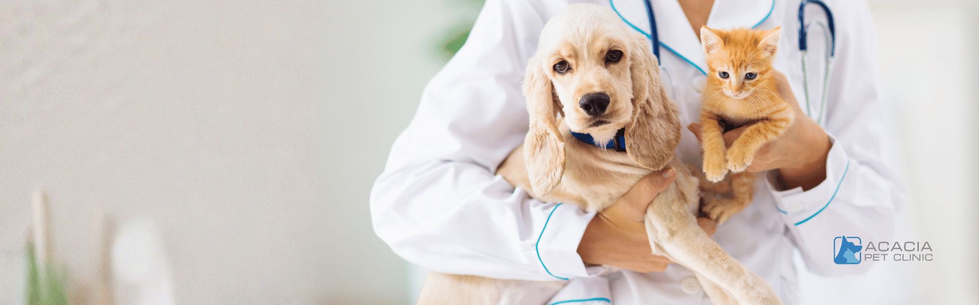 Your Partner for Healthy and Happy Pets