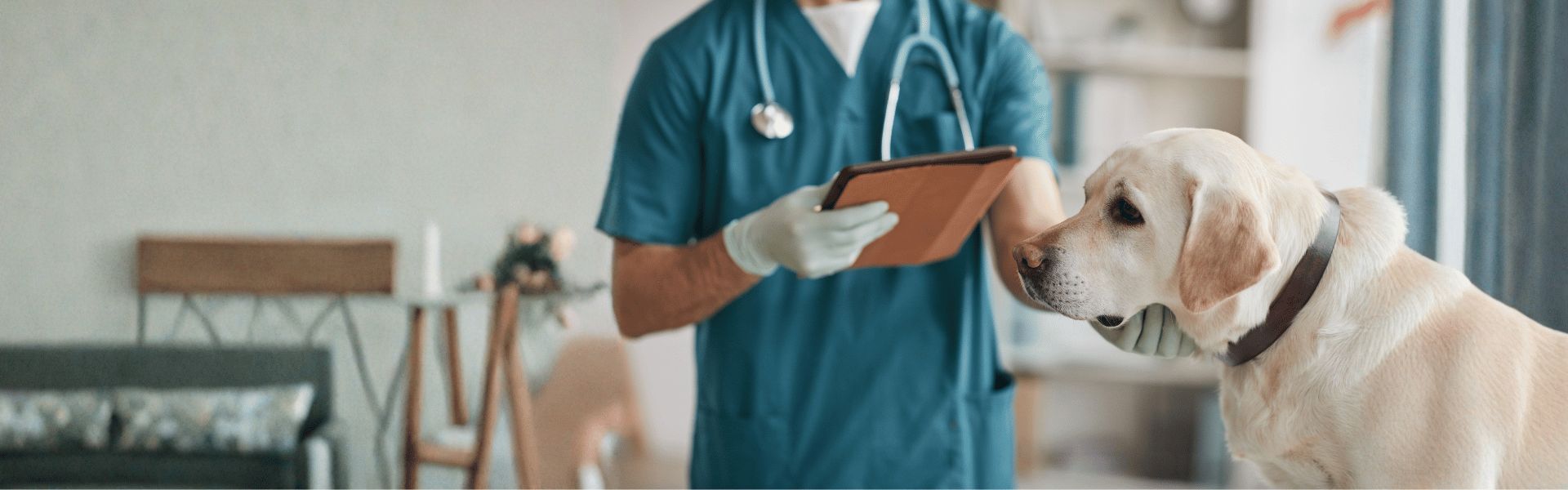 Protect Their Smiles, Ensure Their Health