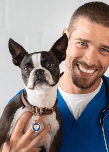 Puppy & Kitten Packages