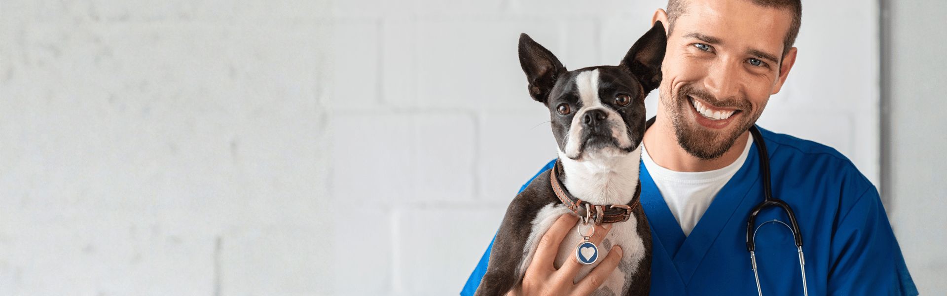 Puppy & Kitten Packages