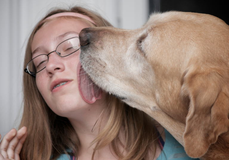 Can My Dog Give Me a Blood Infection?