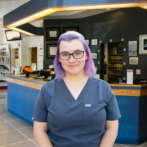 Dr. Catarina