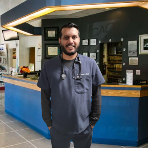 Dr. Rajvir Gillon, DVM - Veterinarian in scrubs with stethoscope standing in front of Acacia Pet Clinic reception area, emphasizing the clinic's commitment to quality pet care.